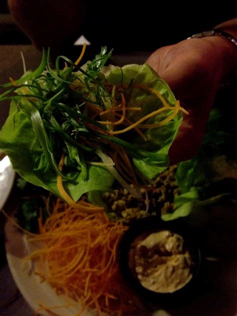 why is iguana not drinking step by step 4