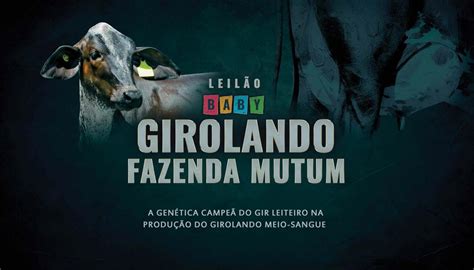 Leil O Oficial Expozebu Girolando Faz Mutum By Abcz Issuu