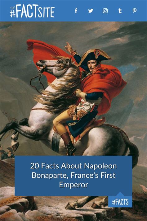 20 Facts About Napoleon Bonaparte, France's First Emperor - The Fact Site