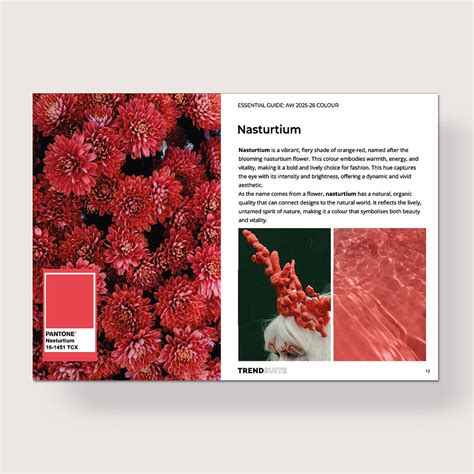 Spring Summer 2026 Print and Pattern Trends