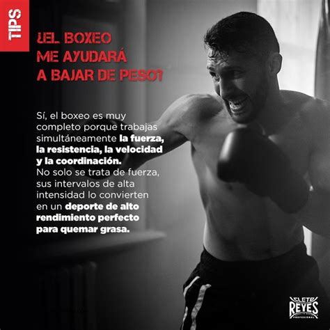 Pin De German Gonzalez En Boxeo Boxeo Beneficios Del Boxeo