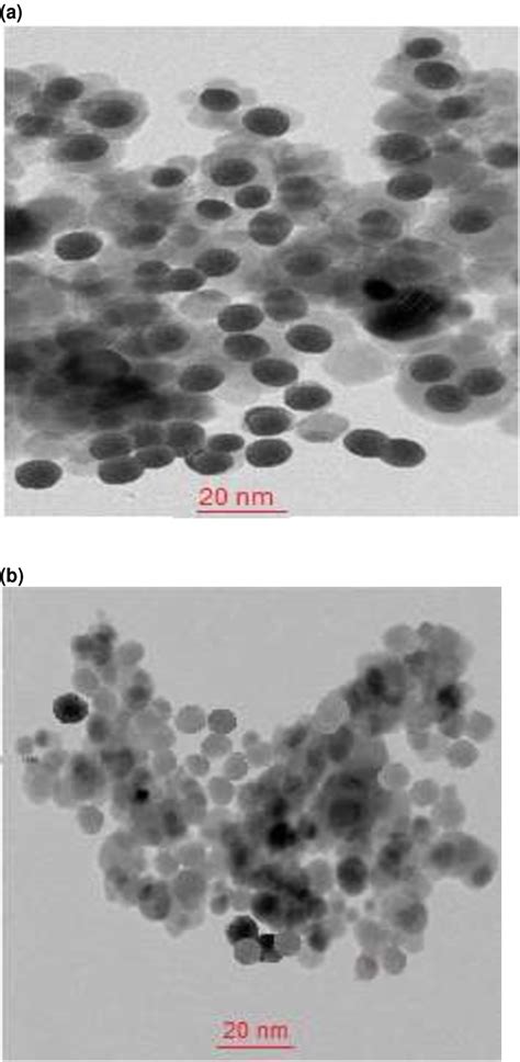 Tem Image Of The Prepared Nanoparticles A Zno B Fe3o4 Download