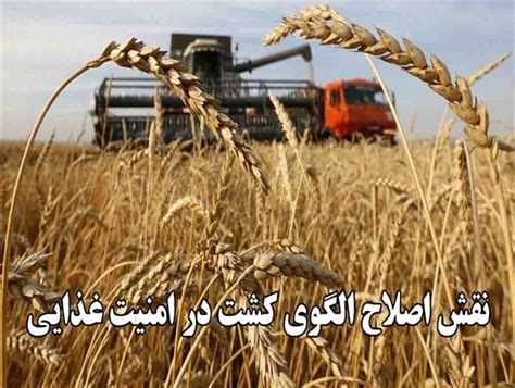 اصلاح الگوی کشت؛ راهی برای دستیابی به امنیت غذایی در کشور اهمیت به‌روز