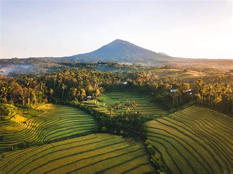 7 Sawah Terasering di Bali: Terlihat Indah Sepanjang Tahun! | Flokq Blog