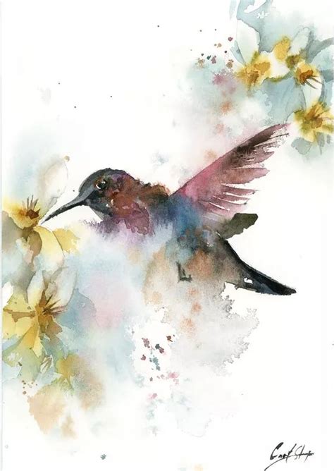 Sophie Rodionov Paintings For Sale Watercolor Bird Bird Watercolor Paintings Art Painting