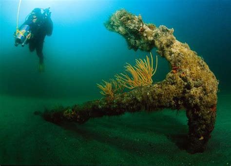 The Shipwrecked Remains Of Blackbeard S Scourge Of The Seas The Queen Anne S Revenge