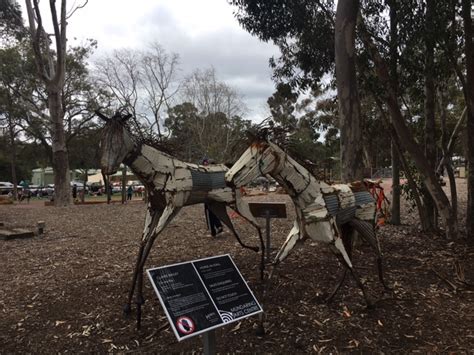 Mundaring Sculpture Park - Kids Review