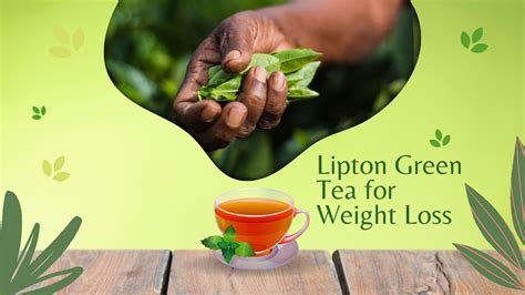 Lipton Green Tea For Weight Loss 5 Adverse Side Effects