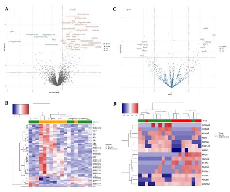 Differential Expression Data In Graphical Representation Volcano Plots Download Scientific