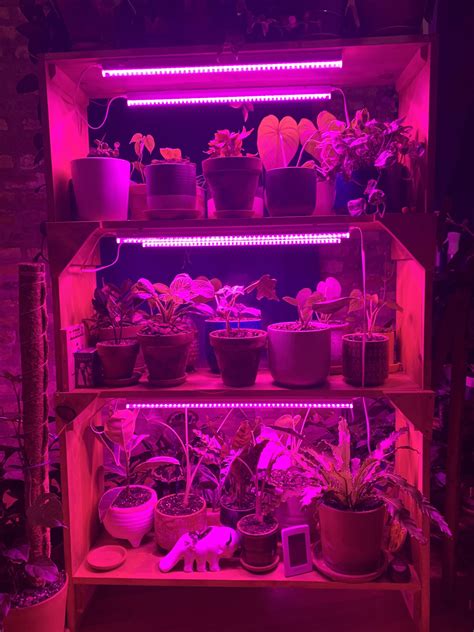 changed up my grow light setup according to feedback. thoughts? : r/houseplants