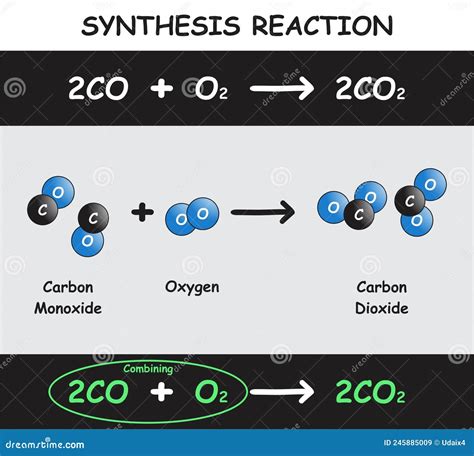 Synthesis Reaction Infographic Diagram Cartoon Vector Cartoondealer