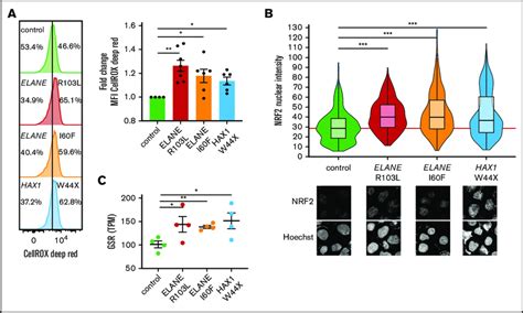 Scn Ipsc Derived Cd Cd Cells Show Elevated Ros Levels And