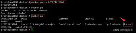 Docker Kill Stop Docker Pause Unpause Docker