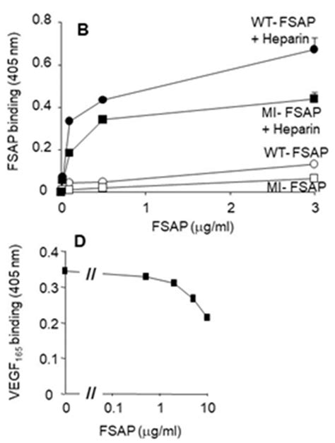 Interactions Between Fsap Neuropilin Vegfr2 And Vegf 165 A