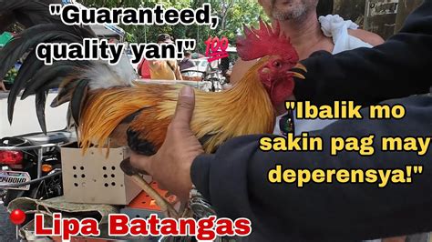 Andaming Mabait Na Seller Ng Quality Na Manok Dito Bentahan Ng Manok