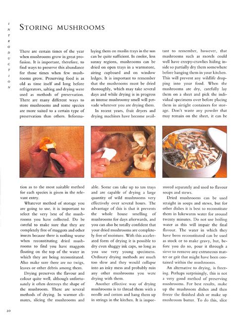 The Mushroom Guide And Identifier Info Page 22 Flip Pdf Online Pubhtml5