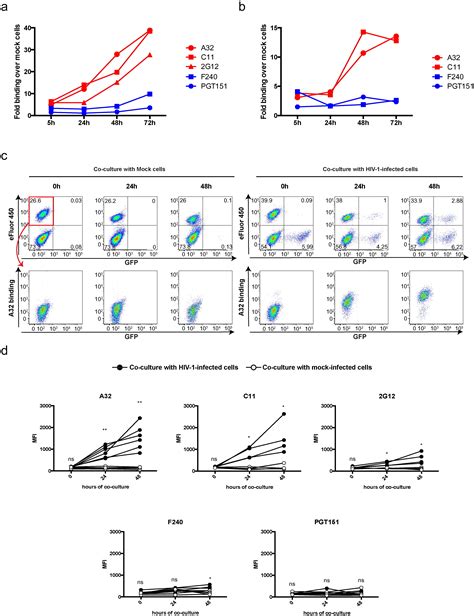 Small Cd4 Mimetics Prevent Hiv 1 Uninfected Bystander Cd4 T Cell