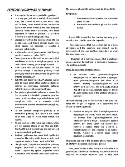 Pentose Phosphate Pathway | PDF