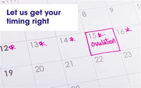 Ovulation Calculator Calculate Your Fertile Window Ivf Australia