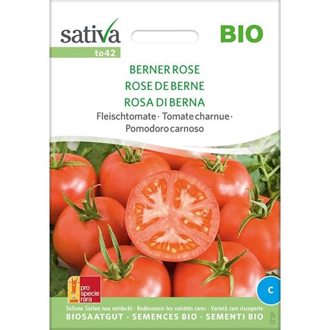 Tomate Rose De Berne Bio