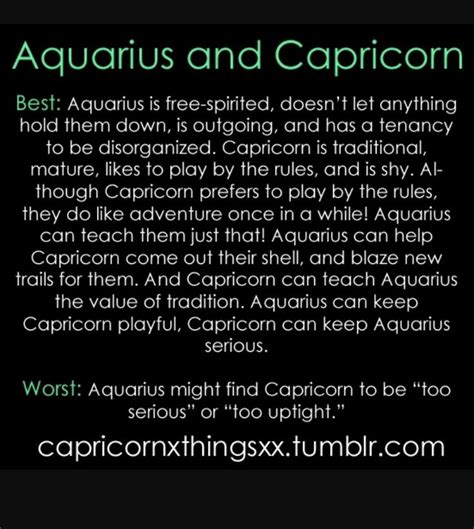 Aquarius And Capricorn Compatibility