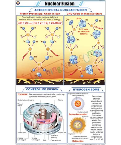 Nuclear Fusion Chart - Laminated, With Rollers - TeachingNest