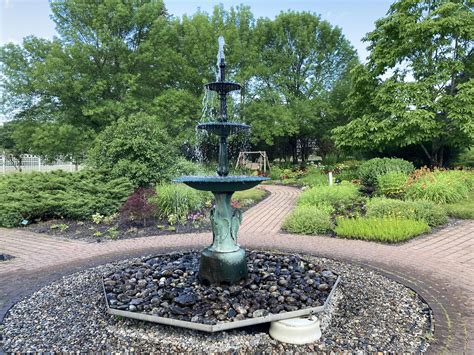 Activities — Longfellow Garden Club