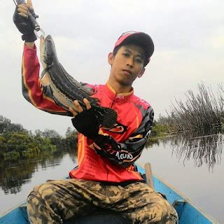 Pancing Jepang Spot Ikan Kerandang Di Sebangau Kalimantan Tengah