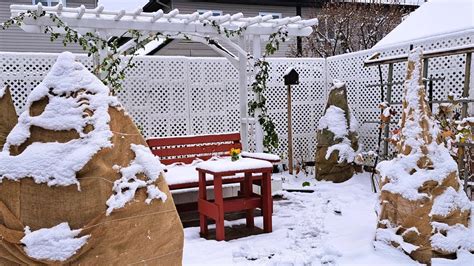 First Snowfall Backyard Garden Tour Zone A Canada Youtube