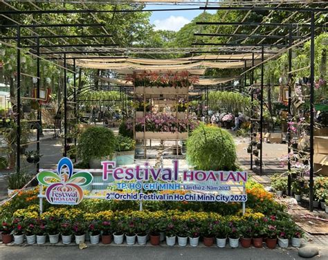 Sẵn sàng cho Festival Hoa lan TP HCM lần II 2023