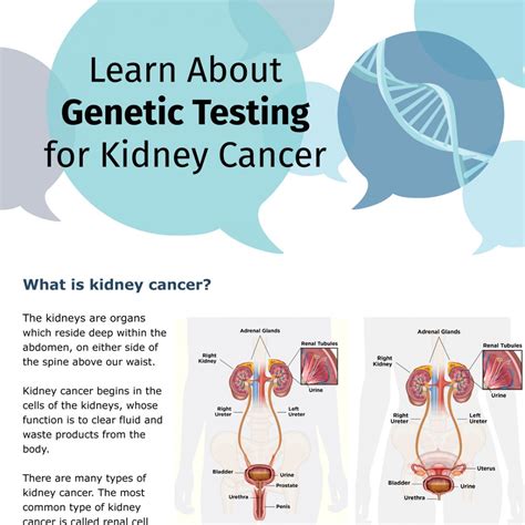 Main Home | Kidney Cancer Canada