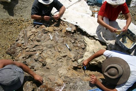 Iberian Peninsula Reveals Dinosaur Mystery Garumbatitian The