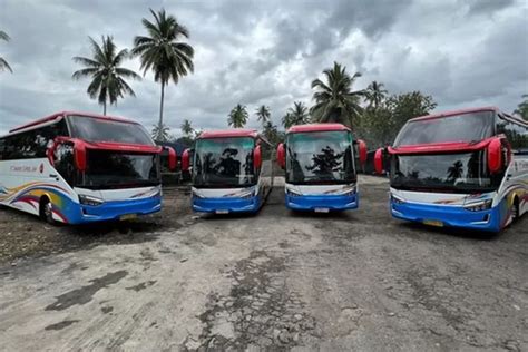 Harga Tiket Bus Murah Di Padang Transport Express Jaya Siap