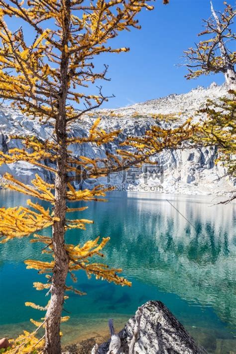 美国华盛顿美丽的高山湖泊荒野地区树植物高清摄影大图 千库网