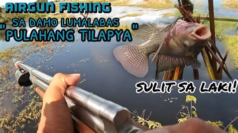 Mike Tiksay Fish Hunting Pulahang Tilapya Sulit Sa Laki YouTube