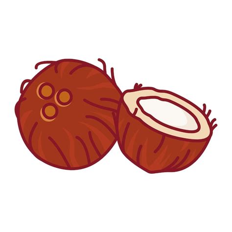 Un Coco Entero Y Medio Coco Ilustraci N Vectorial De Un Icono Plano De