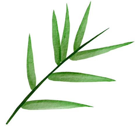 Cutout Bamboo Leaf Simplicity Watercolor Painting Png