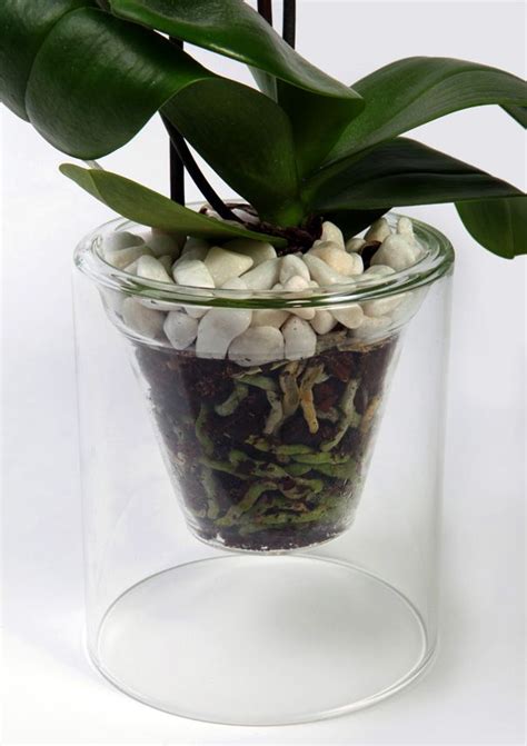 Clear Glass Plant Pots For Orchids Glass Designs