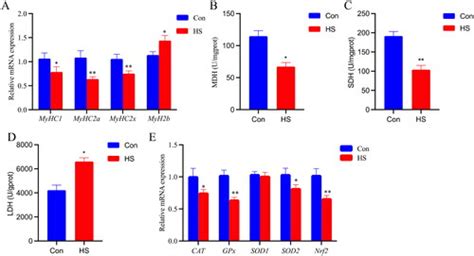 Full Article Effect Of Heat Stress On Growth Performance Carcase