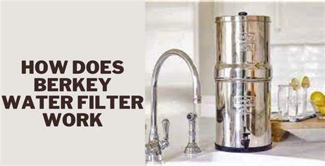 How Does Berkey Water Filter Work