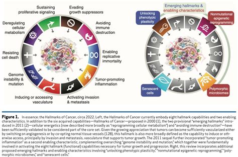 Medclub On Twitter Oncology Hallmarks Of Cancer New Dimensions