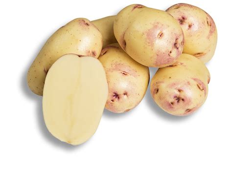 grow south australian potato