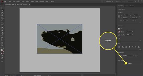 How To Use Image Trace In Adobe Illustrator Cc