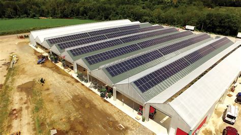 Prides Corner Farms Investment In Solar Panels Pays Off Greenhouse Grower