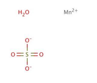 Manganese Ii Sulfate Monohydrate Cas Scbt Santa Cruz