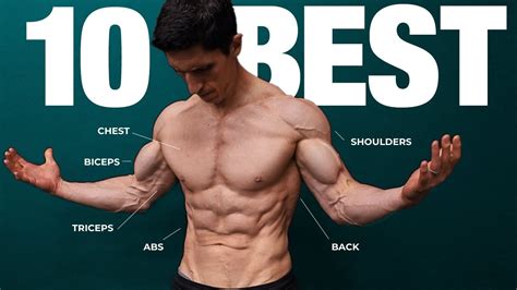 10 Calisthenics Exercises That Build The MOST Muscle WeightBlink