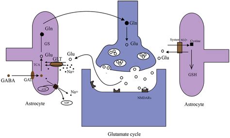 Figure E Generation Of Ros And Rns Nadh Oxidation Respiratory