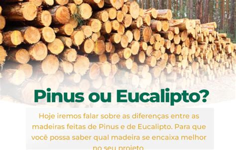 Voc Conhece A Diferen A Entre Pinus E Eucalipto Madeireira Silva