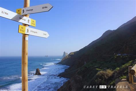 Benijo to Cruz Draguillo Hike in Tenerife - Carey On Travels