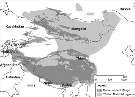 Buddhist Monks are Champions of Snow Leopard Conservation